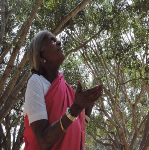 Saalumarada Thimmakka