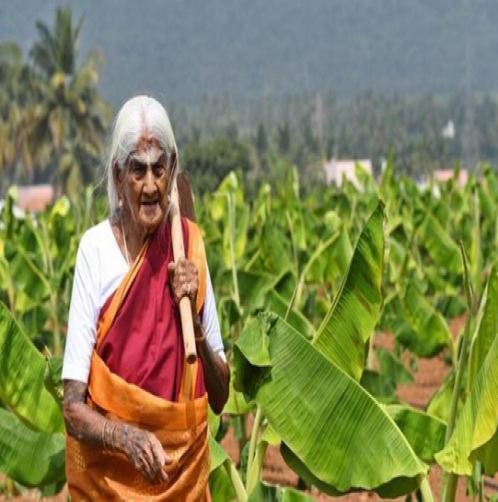Pappamal